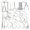 Endoscopic Sinus