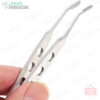 Meibomian Gland Expressor Forceps