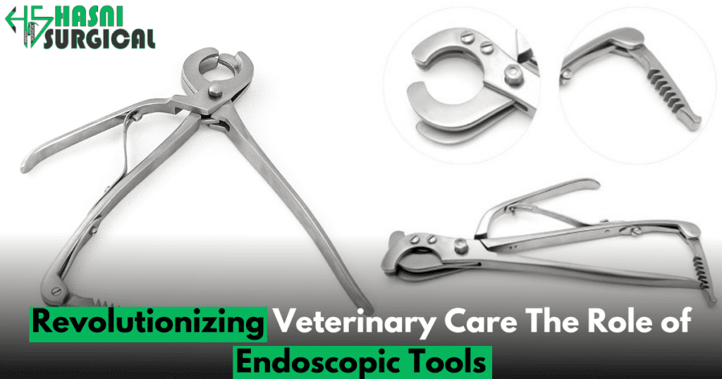 Revolutionizing Veterinary Care The Role of Endoscopic Tools