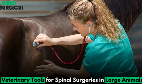 7 Powerful Veterinary tools for spinal surgeries in large animals