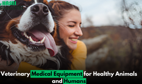 6 Essential Veterinary Medical Equipment for Healthy Animals and Humans