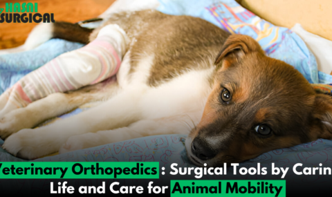 Veterinary Orthopedics: 4 Powerful Surgical Tools and Care for Animal Mobility