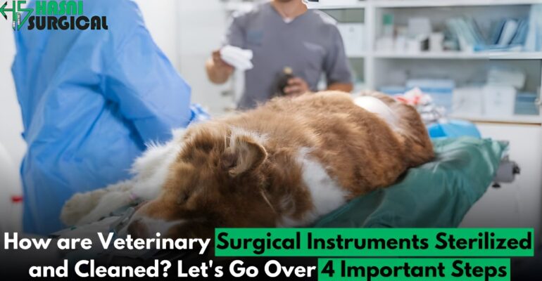 How are Veterinary Surgical Instruments Sterilized and Cleaned? Let's Go Over 4 Important Steps