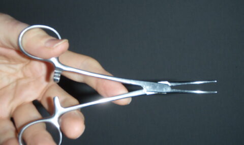 Pean arterial forceps, a classic hemostat used to clamp blood vessels during surgery